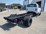 2024 Chevrolet Silverado 4500 Regular Cab DRW RWD Cab Chassis for sale #M240561 - photo 14