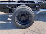 New 2024 Chevrolet Silverado 6500 Work Truck Regular Cab Cab Chassis for sale #M240638 - photo 15
