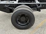 New 2024 Chevrolet Silverado 6500 Work Truck Regular Cab Cab Chassis for sale #M240639 - photo 15