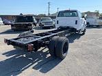 New 2024 Chevrolet Silverado 5500 Work Truck Regular Cab Cab Chassis for sale #M240658 - photo 2