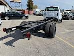 New 2024 Chevrolet Silverado 6500 Work Truck Regular Cab Cab Chassis for sale #M240704 - photo 14