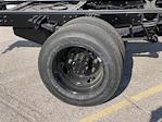 New 2024 Chevrolet Silverado 6500 Work Truck Regular Cab Cab Chassis for sale #M240704 - photo 15