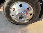 New 2026 Ford F-450 XLT Regular Cab for sale #F260107 - photo 22