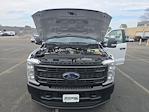 New 2026 Ford F-250 XL Regular Cab for sale #260018 - photo 23