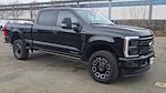 New 2025 Ford F-250 Platinum Crew Cab for sale #L251381 - photo 4