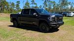2024 GMC Sierra 1500 Crew Cab 4WD Pickup for sale #4340918 - photo 33