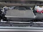2025 GMC Sierra 1500 Crew Cab 4WD Pickup for sale #4350974 - photo 30
