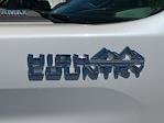 2025 Chevrolet Silverado 3500 Crew Cab 4WD Pickup for sale #4151467 - photo 33