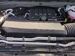 2025 Chevrolet Silverado 1500 Crew Cab RWD Pickup for sale #4151955A - photo 28