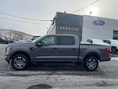 2022 Ford F-150 SuperCrew Cab 4WD Pickup for sale #F2812 - photo 2