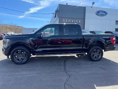 Used 2023 Ford F-150 - photo 1