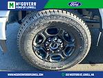 2024 Ford F-350 Regular Cab SRW 4WD Pickup for sale #FN5045 - photo 28