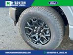 2025 Ford F-150 SuperCrew Cab 4WD Pickup for sale #FN5993 - photo 10