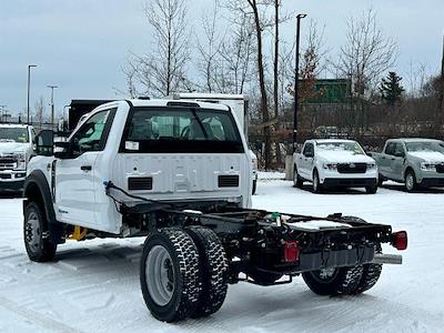 2025 Ford F-550 Regular Cab DRW 4WD Cab Chassis for sale #FN5998 - photo 2