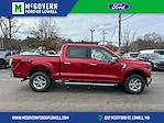 New 2025 Ford F-150 XLT SuperCrew Cab 4WD Pickup for sale #FN6159 - photo 27