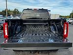 2023 Ford F-350 Crew Cab SRW 4WD Pickup for sale #FN6211A - photo 10