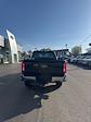 New 2025 Ford F-350 Crew Cab 4WD SRW Pickup for sale #FN6294 - photo 15