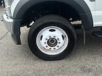 2020 Ford F-550 Regular Cab DRW 4WD Cab Chassis for sale #FN6393A - photo 3