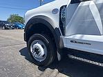 2025 Ford F-550 Regular Cab DRW 4WD Air-Flo Dump Truck for sale #FN6431 - photo 29