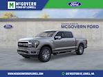 2025 Ford F-150 SuperCrew Cab 4WD Pickup for sale #FN6579 - photo 24