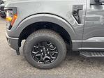 2025 Ford F-150 SuperCrew Cab 4WD Pickup for sale #FN6618 - photo 9