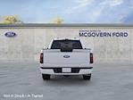 2025 Ford F-150 Super Cab 4WD Pickup for sale #FN6702 - photo 28