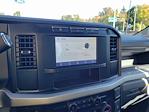 2024 Ford F-450 Crew Cab DRW 4WD Cab Chassis for sale #FN6725 - photo 25