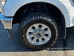2022 Ford F-350 Crew Cab SRW 4WD Pickup for sale #FN6812A - photo 3