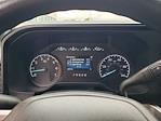 2024 Ford F-250 Crew Cab 4WD Pickup for sale #FX1080X - photo 28