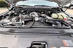 2024 Ford F-550 Crew Cab DRW 4x2 Cab Chassis for sale #RED79399 - photo 8