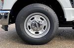 2025 Ford F-250 Regular Cab 4x2 Pickup for sale #SEC60065 - photo 14