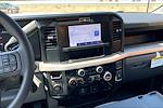 2025 Ford F-450 Crew Cab DRW 4x2 Cab Chassis for sale #SED35955 - photo 8