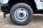 New 2025 Ford F-350 Regular Cab Cab Chassis for sale #SEE11651 - photo 14