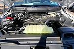 2025 Ford F-150 Regular Cab 4x2 Pickup for sale #SKD00478 - photo 12