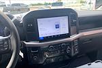 2025 Ford F-150 Regular Cab 4x2 Pickup for sale #SKD00562 - photo 8