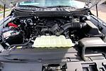 New 2025 Ford F-150 XL Super Cab Pickup for sale #SKD01099 - photo 12