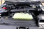 New 2025 Ford F-150 XL Super Cab 4x4 Pickup for sale #SKE22409 - photo 22