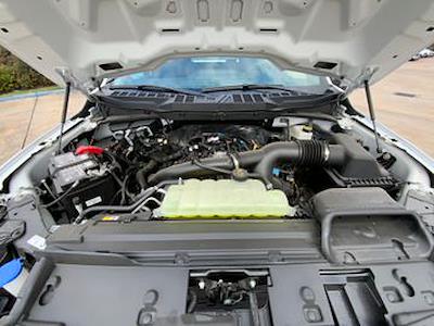 New 2025 Ford F-150 - photo 1