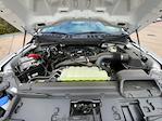 New 2025 Ford F-150 XL Regular Cab for sale #SKF06411 - photo 10