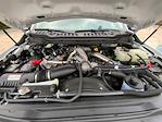 2026 Ford F-350 Crew Cab DRW 4x4 Pickup for sale #TEC66555 - photo 11