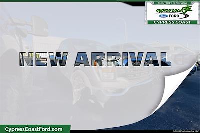 2023 Ford F-150 Regular Cab RWD Pickup for sale #108244 - photo 1