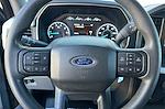 2023 Ford F-150 SuperCrew Cab 4WD Pickup for sale #108245 - photo 20
