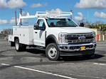 2024 Ford F-550 Regular Cab DRW 4x2 Scelzi Combo Body for sale #CV105242 - photo 1