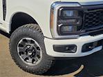 2024 Ford F-250 Crew Cab 4x4, Pickup for sale #F104159D - photo 3