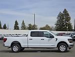 2024 Ford F-150 SuperCrew Cab 4x4 Pickup for sale #F106859 - photo 4