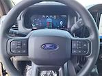 2025 Ford F-150 SuperCrew Cab RWD Pickup for sale #F110052 - photo 10