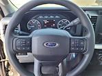 2025 Ford F-250 Regular Cab 4WD Pickup for sale #F110494 - photo 10