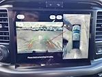 2025 Ford F-150 SuperCrew Cab 4WD Pickup for sale #F110819 - photo 9
