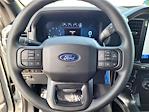 2025 Ford F-150 SuperCrew Cab 4WD Pickup for sale #F110925 - photo 10