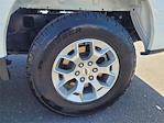 2023 Ford F-150 Regular Cab 4x2 Pickup for sale #P99334 - photo 13